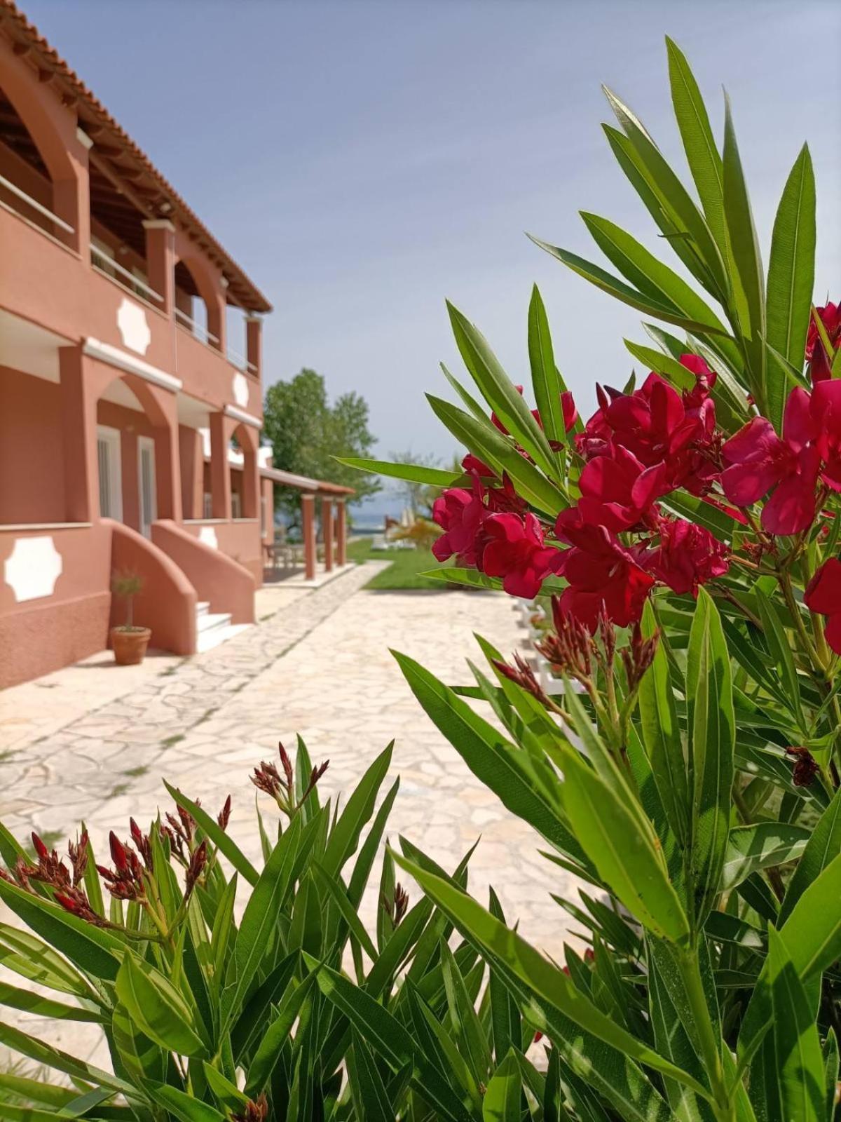 Melador Beachfront Apartament Kávos